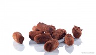 Slagroom truffels afbeelding