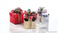 Kerst ballotin afbeelding